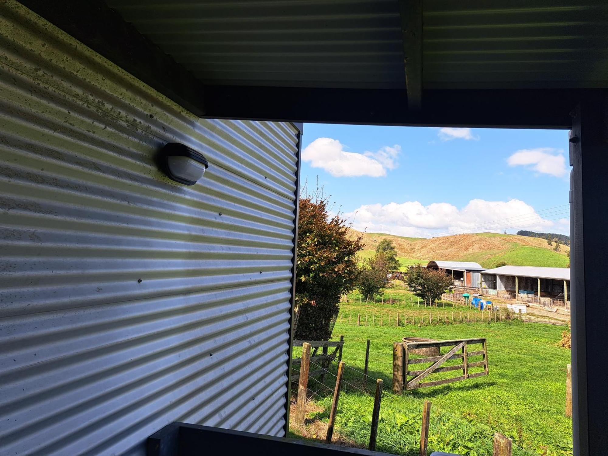 Crinkly Cottage Te Kuiti Extérieur photo